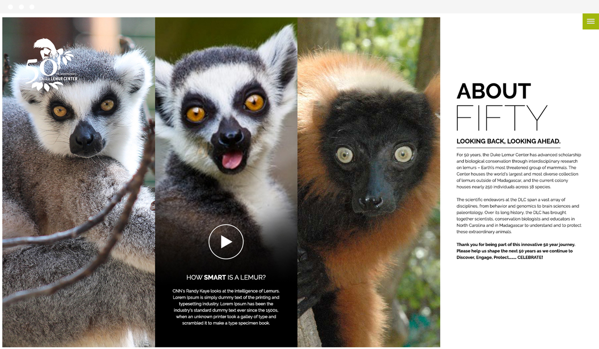 Duke University Lemur Center web design by Kompleks Creative.