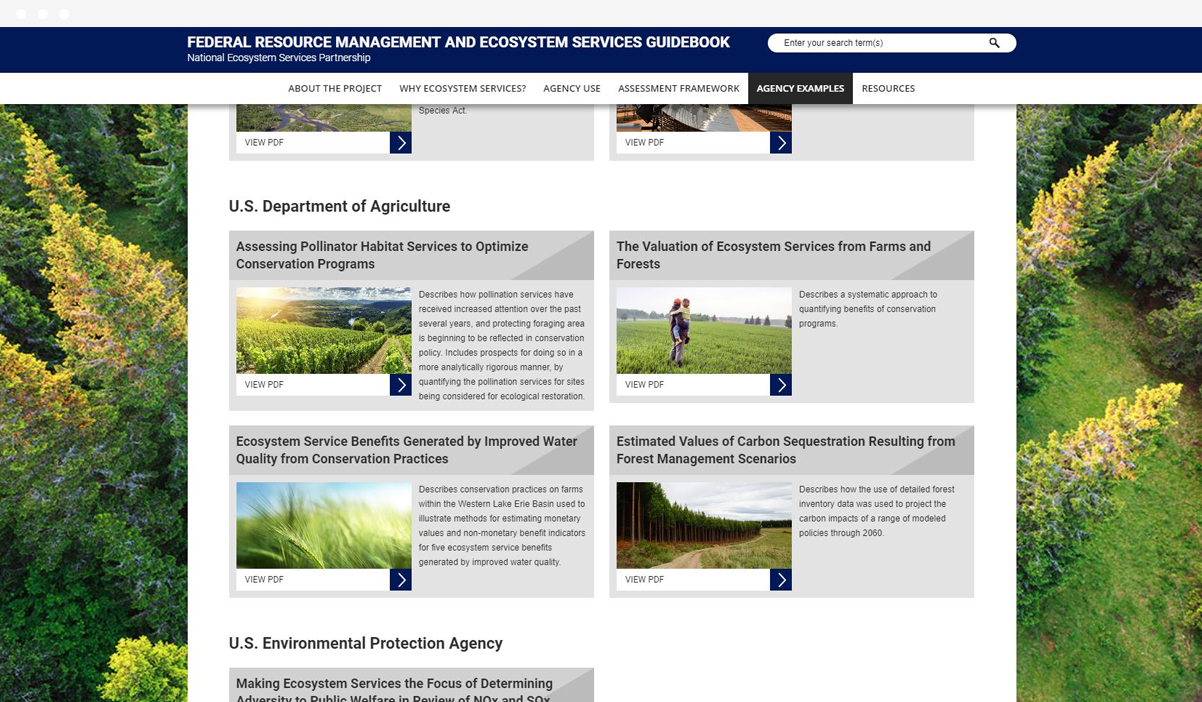 Duke Nicholas Institute for Environmental Policy Solutions web design by Kompleks Creative.
